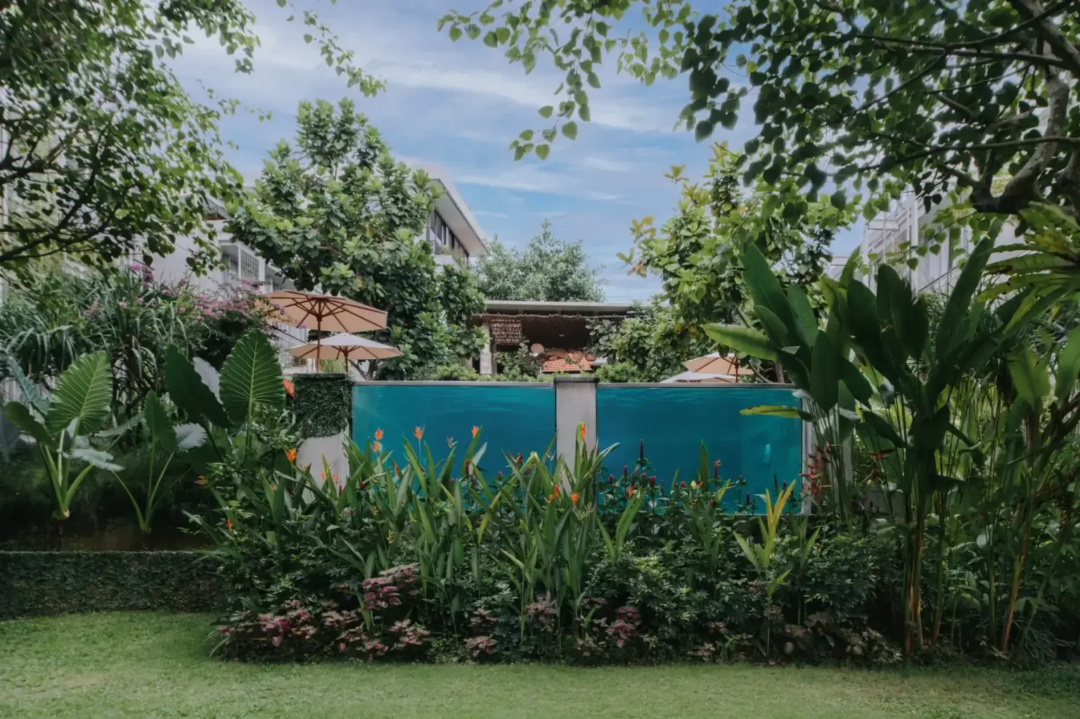 The Iconic Glass Walled Swimming Pool at Rimbun Canggu